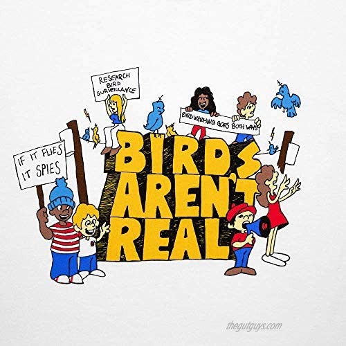 Birds Aren't Real Activist T-Shirt