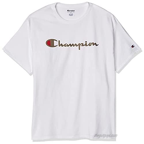 Champion Men's Classic T-Shirt  Screen Print Script  White-586506  Large