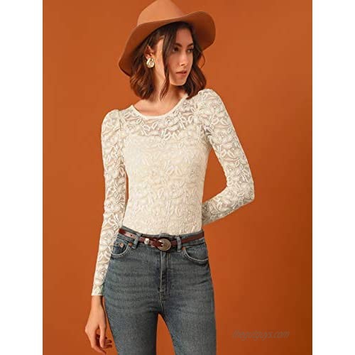 Allegra K Women's Vintage Semi Sheer Puff Long Sleeve Embroidery Blouse Lace Top