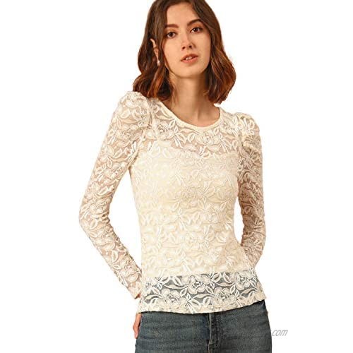 Allegra K Women's Vintage Semi Sheer Puff Long Sleeve Embroidery Blouse Lace Top